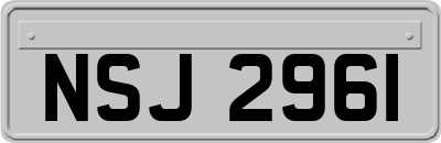 NSJ2961