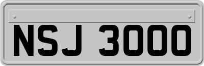 NSJ3000