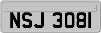 NSJ3081