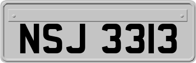 NSJ3313
