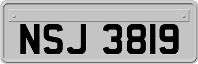 NSJ3819