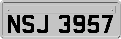 NSJ3957