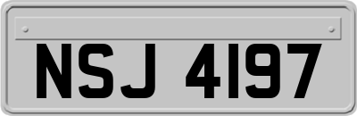 NSJ4197