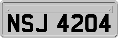 NSJ4204