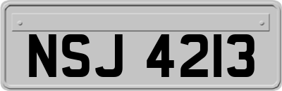 NSJ4213