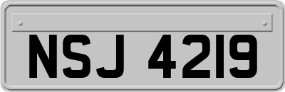 NSJ4219