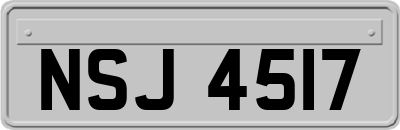 NSJ4517