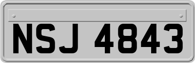 NSJ4843