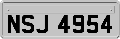 NSJ4954