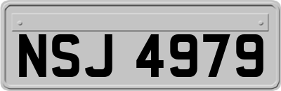 NSJ4979