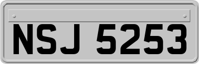 NSJ5253