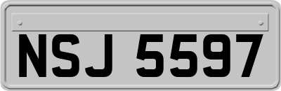 NSJ5597