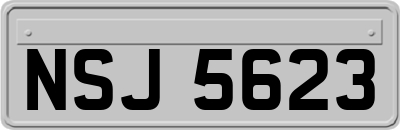 NSJ5623