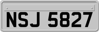 NSJ5827