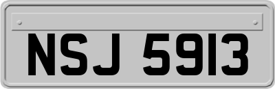 NSJ5913