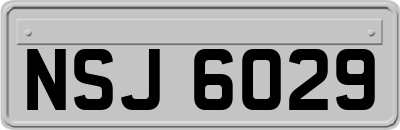 NSJ6029