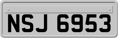 NSJ6953