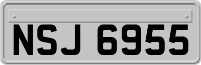 NSJ6955