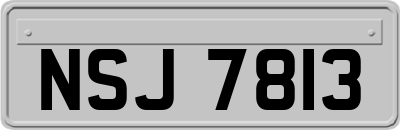 NSJ7813
