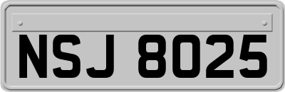 NSJ8025