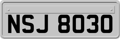 NSJ8030