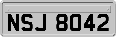 NSJ8042