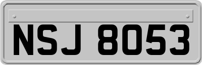 NSJ8053