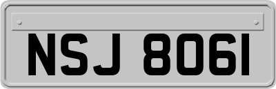 NSJ8061