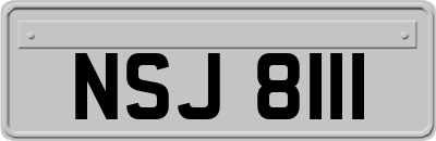 NSJ8111