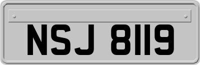 NSJ8119