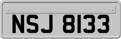 NSJ8133
