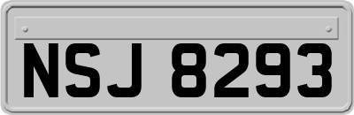 NSJ8293