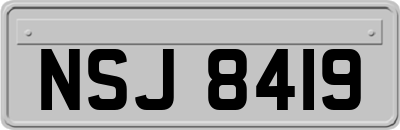 NSJ8419