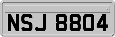 NSJ8804