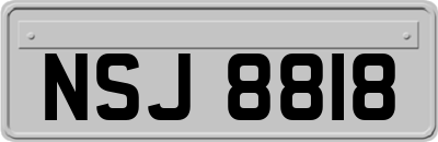 NSJ8818