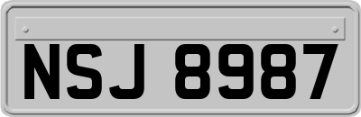 NSJ8987