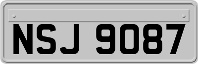 NSJ9087