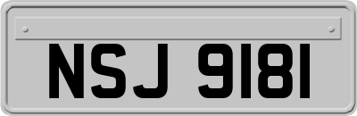 NSJ9181