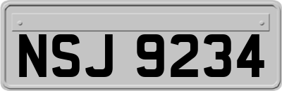 NSJ9234