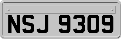 NSJ9309