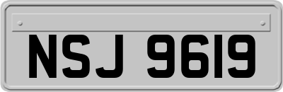 NSJ9619
