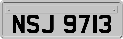 NSJ9713