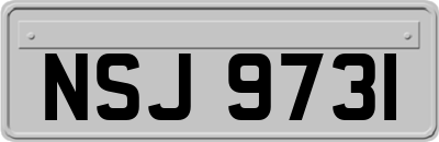 NSJ9731