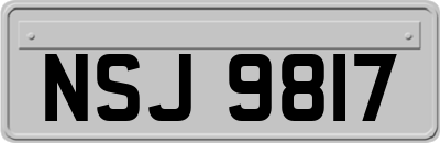 NSJ9817