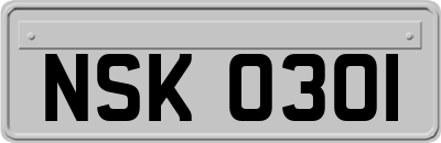 NSK0301