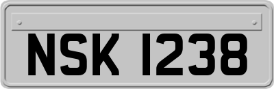 NSK1238