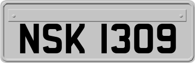 NSK1309