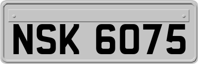 NSK6075