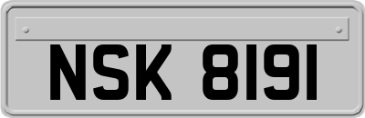 NSK8191