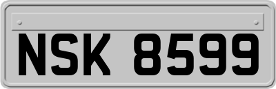 NSK8599